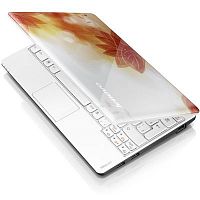 Lenovo IdeaPad S100 N452G320S