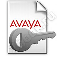 AVAYA 217656